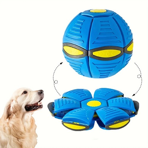 Flying saucer dog - flying, toy